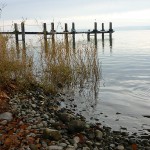 Stimmung am See